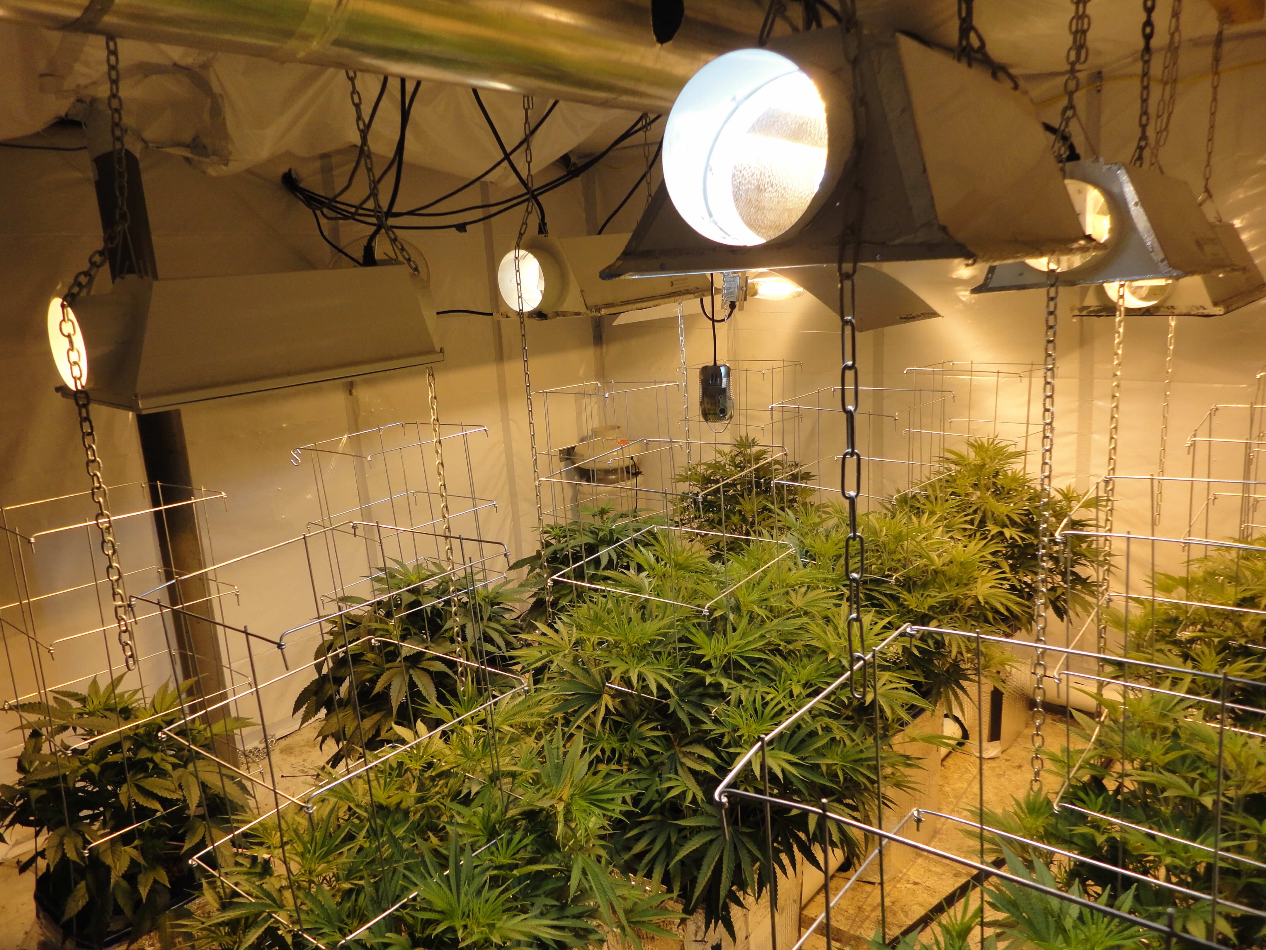 grow room from 2011