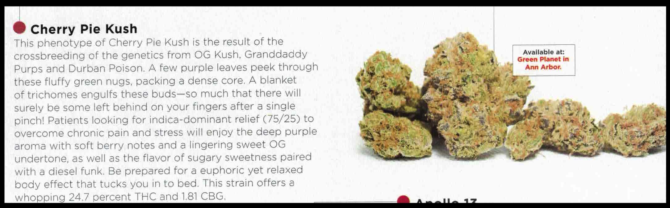 Cherry Pie Kush featured in Culture